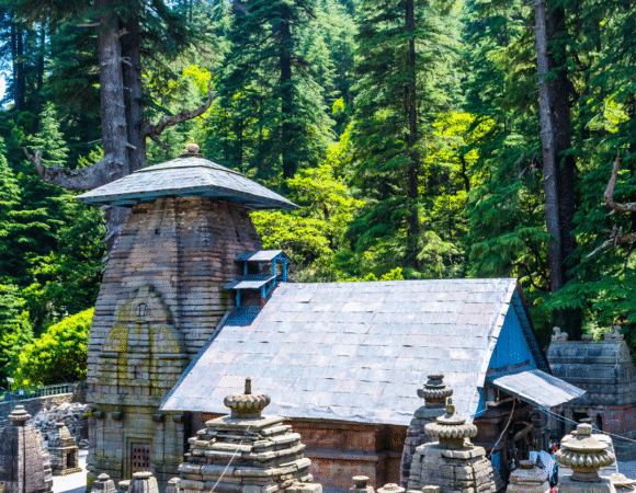 DELHI-NAINITAL-RANIKHET-ALMORA-BINSAR WILD LIFE-KAUSANI-DELHI