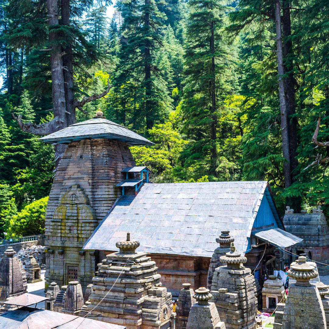 DELHI-NAINITAL-RANIKHET-ALMORA-BINSAR WILD LIFE-KAUSANI-DELHI